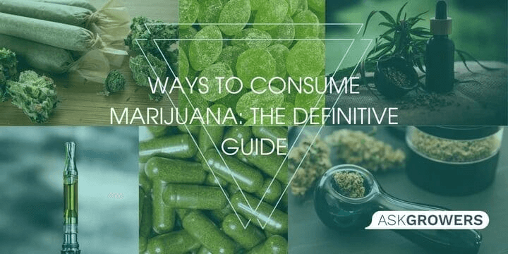 Ways to Consume Marijuana: The Definitive Guide
